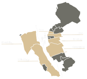 graue und beige Farben Flächen, die unsere Weinlagen darstellen. Beige sind unsere Weinlagen Horn, Pares, Burgberg,Sonnenhang, Schlossberg und Rheinhöhe